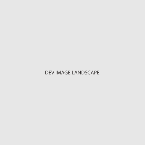 Dev Landscape